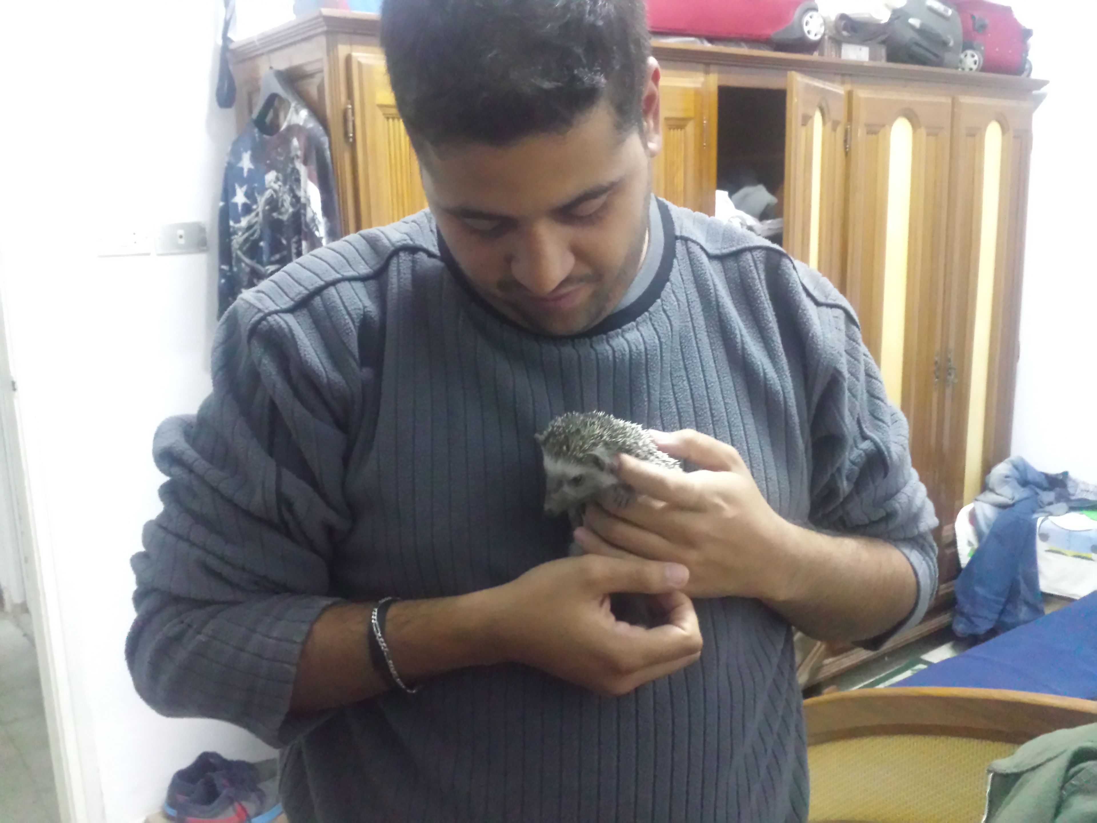 image-5